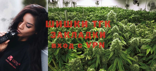 ПСИЛОЦИБИНОВЫЕ ГРИБЫ Елабуга