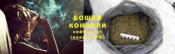 бошки Ельня