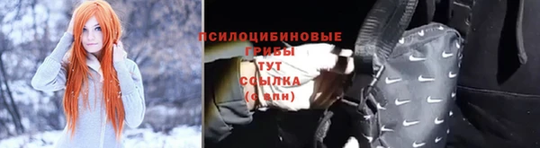 ПСИЛОЦИБИНОВЫЕ ГРИБЫ Елабуга