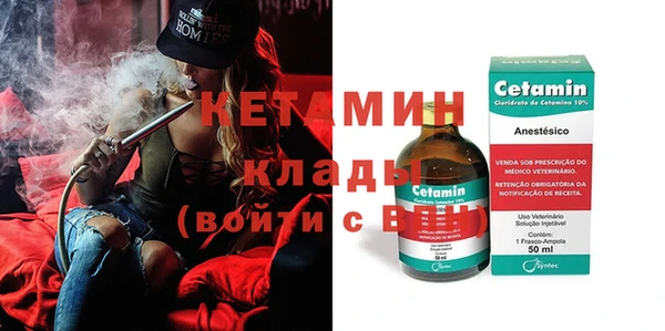 гашик Пересвет