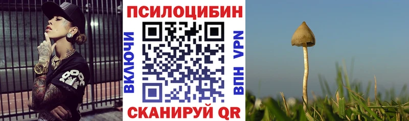 Купить  Калининск  Галлюциногенные грибы мухоморы 